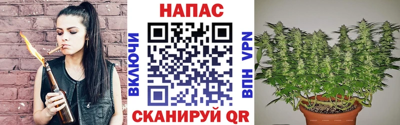 Купить наркотики сайты Яхрома COCAIN  LSD-25  Гашиш  A PVP  Конопля  Меф мяу мяу 
