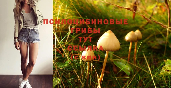 mdpv Абинск