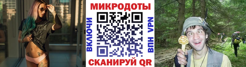 Псилоцибиновые грибы MAGIC MUSHROOMS Яхрома