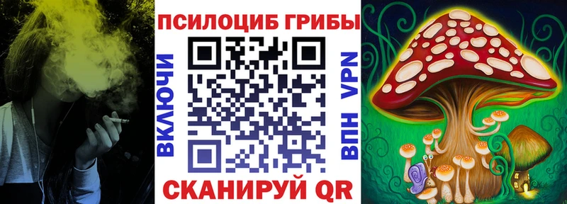 МЕГА ONION  где купить наркоту  Яхрома  Галлюциногенные грибы Magic Shrooms 